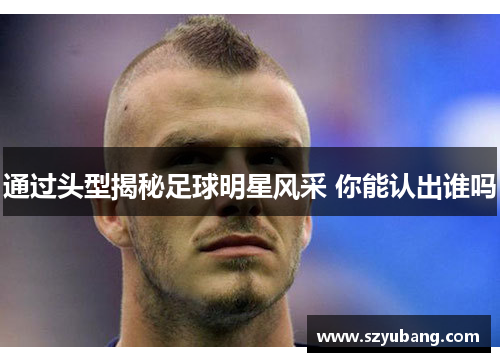 通过头型揭秘足球明星风采 你能认出谁吗