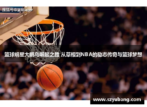 篮球明星大鹏鸟崛起之路 从草根到NBA的励志传奇与篮球梦想